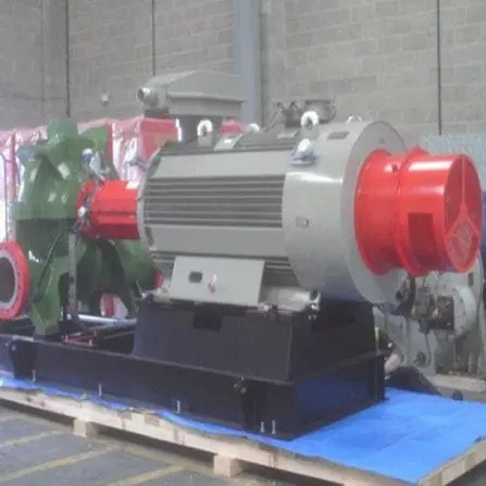 Motors for Submersible Pumps